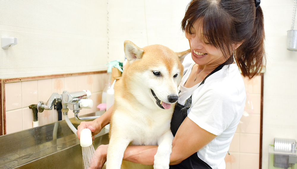 ワンちゃんの些細な変化にも気を配ります